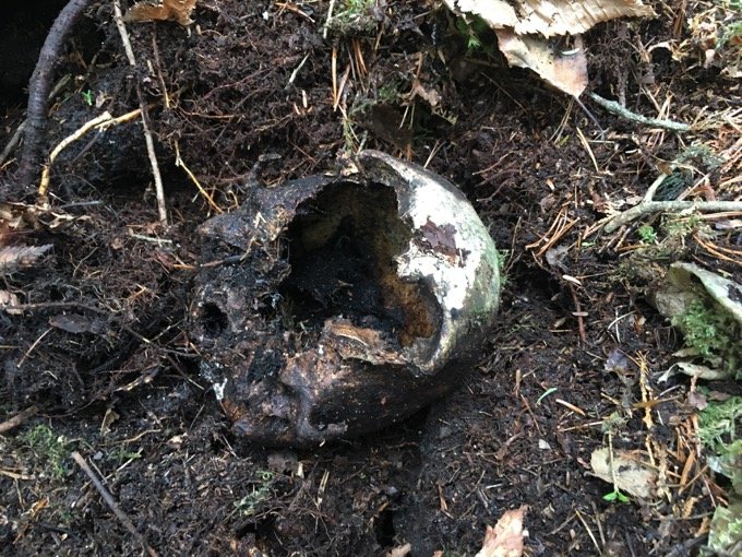 【閲覧注意】樹海の白骨遺体に「呼ばれた」ことも…！ 樹海専門家・村田らむが思い出深い「4つの骨」を紹介！の画像7