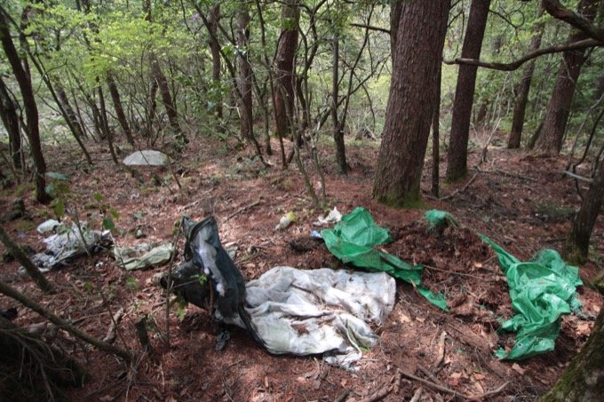【閲覧注意】樹海の白骨遺体に「呼ばれた」ことも…！ 樹海専門家・村田らむが思い出深い「4つの骨」を紹介！の画像8