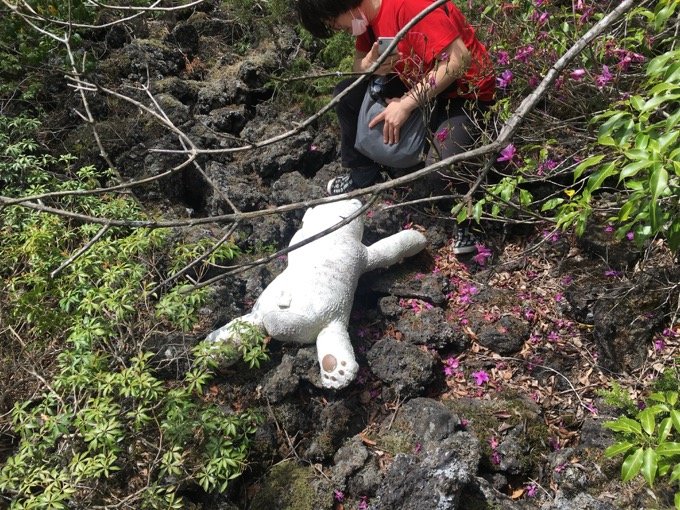 【閲覧注意】樹海の白骨遺体に「呼ばれた」ことも…！ 樹海専門家・村田らむが思い出深い「4つの骨」を紹介！の画像9