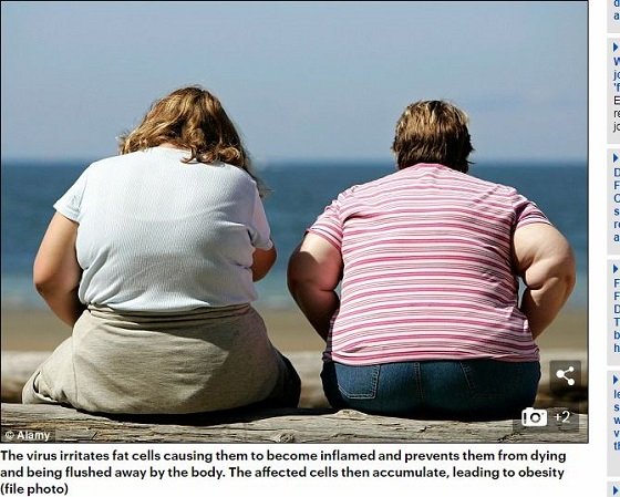 人をデブにさせる「デブウイルス」感染を防ぐワクチン爆誕！ 肥満の3割は感染が原因！の画像2