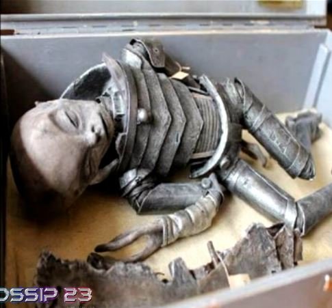 箱詰めされた宇宙人のミイラ!? 衝撃映像を徹底検証してわかった事の真相とは？の画像1