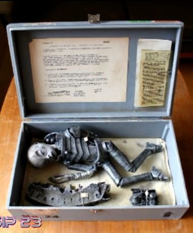 箱詰めされた宇宙人のミイラ!? 衝撃映像を徹底検証してわかった事の真相とは？の画像2