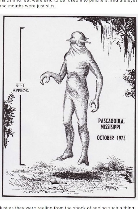 自宅で待っていた脳体だけエイリアンに導かれ…！ あまりにも奇妙な未知との遭遇「ハイ・ストレンジネス事例」9選の画像5