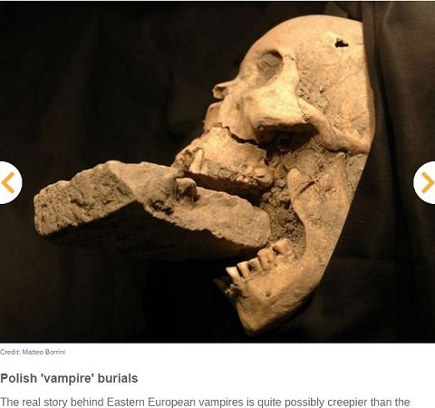 腰から歯が生えた女、人骨を栄養にする木…世界のゾッとする考古学的発見10選！の画像2