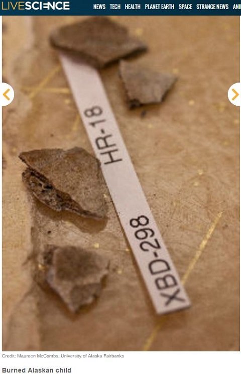 腰から歯が生えた女、人骨を栄養にする木…世界のゾッとする考古学的発見10選！の画像4