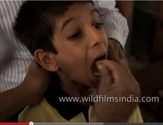 【奇妙な伝統儀式】ぜんそく治療のために生きた魚を飲み込む＝インドの画像1