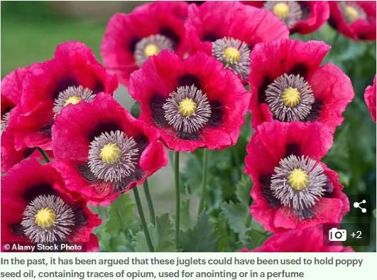 古代人はどこにドラッグを隠していた？ 3000年前の古代麻薬貿易の証拠から判明！の画像3