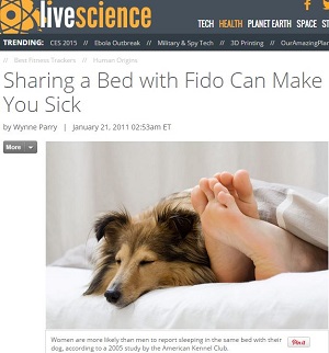 【閲覧注意】読んだら眠れない！ 我々のベッドに潜む危険な生物＆物質トップ10！の画像5