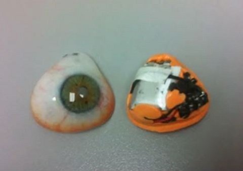 自分の眼球をビデオカメラにした男 ― 自称・アイボーグが見る世界とは？＝カナダの画像1