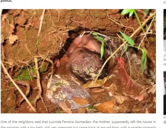 24時間生き埋めにされた赤ん坊が生還！ アルマジロの巣穴の中で一体何が？ ＝ブラジルの画像1