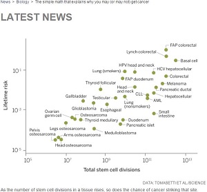 がん予防は無意味？ 「がんに罹るのは、単なる生物学的な不運である」（最新研究）の画像1