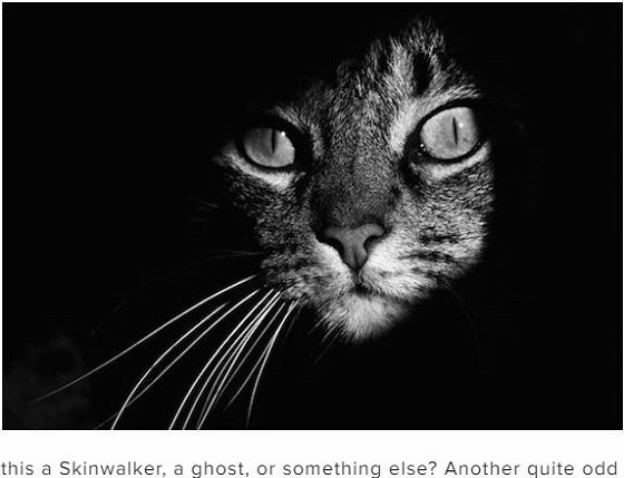 頭はネコ、体は人間、目撃すると体調不良… 世界で相次ぐ謎の「キャットピープル」出没事例5選！ 正体は精霊「スキンウォーカー」か!?の画像4