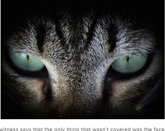 頭はネコ、体は人間、目撃すると体調不良… 世界で相次ぐ謎の「キャットピープル」出没事例5選！ 正体は精霊「スキンウォーカー」か!?の画像5