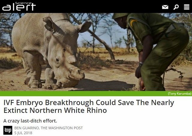 地球上の生物の絶滅スピードが1000倍加速していることが判明！ 専門家も警告、決断が求められる異常事態！の画像3