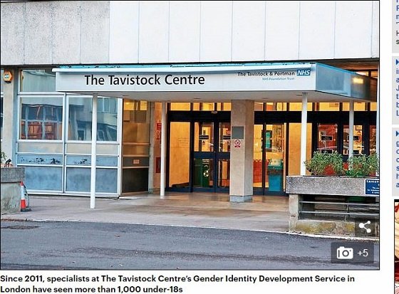 17人の小学生が「性転換手術」を希望している学校が発覚！ カミングアウトが止まらない… 先生困惑＝英の画像2