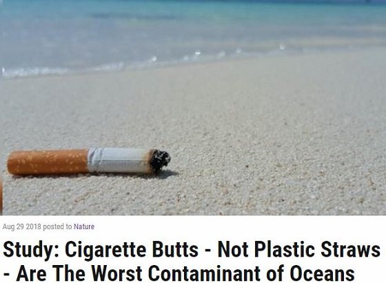 海洋汚染の真犯人はプラスチック製ストローではなくタバコの吸殻だった！ 喫煙者の罪がまた一つ「フィルター全面禁止しろ」の画像3