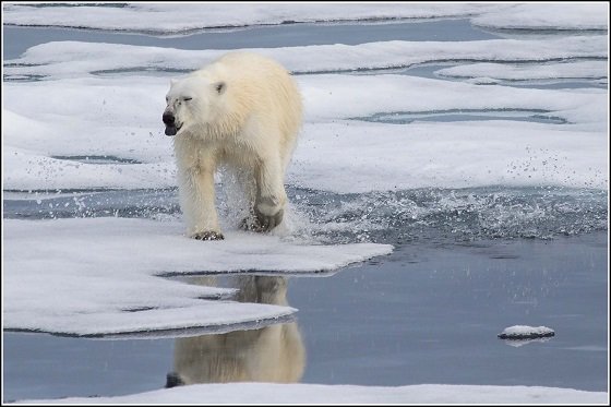 キレやすくなる人間、自殺・犯罪の増加… 原因は気候変動だった！ 専門家が断言「温暖化は精神障害につながる」の画像3