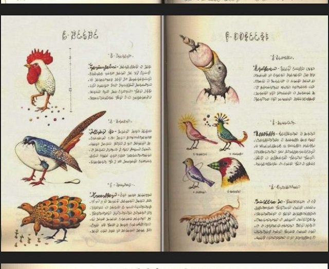 パラレルワールドの百科事典『コデックス・セラフィニアヌス』― 奇妙な植物、SEX、医療…異世界の話を未知の言語で綴った本の驚愕内容とは？の画像1