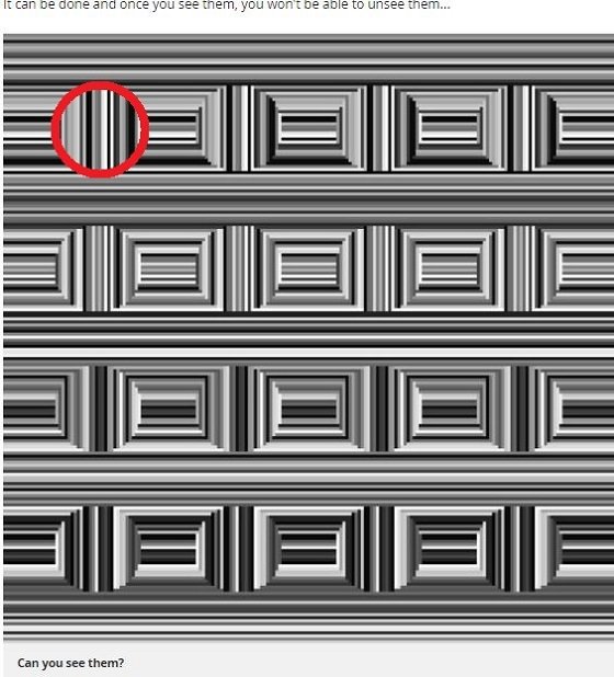 「最高幻視賞」受賞の錯視図形、解ければ1000人に1人のエリート！ あなたの「脳力」を試す超難問クイズ2選の画像2