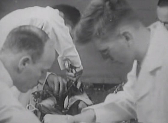 「人体蘇生」専門のマッドサイエンティストが実在した！  死刑囚の遺体を入手し…の画像2