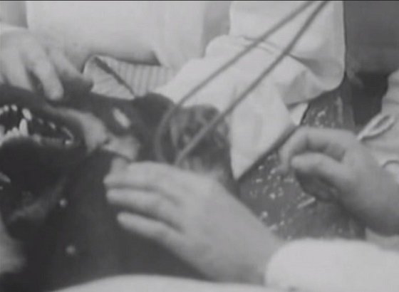 「人体蘇生」専門のマッドサイエンティストが実在した！  死刑囚の遺体を入手し…の画像3