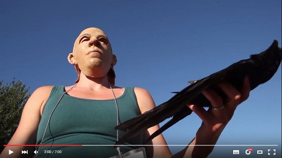 カラスが葬式をする謎 ― 人の顔を1年以上記憶する驚異の頭脳と社会性が判明！の画像3