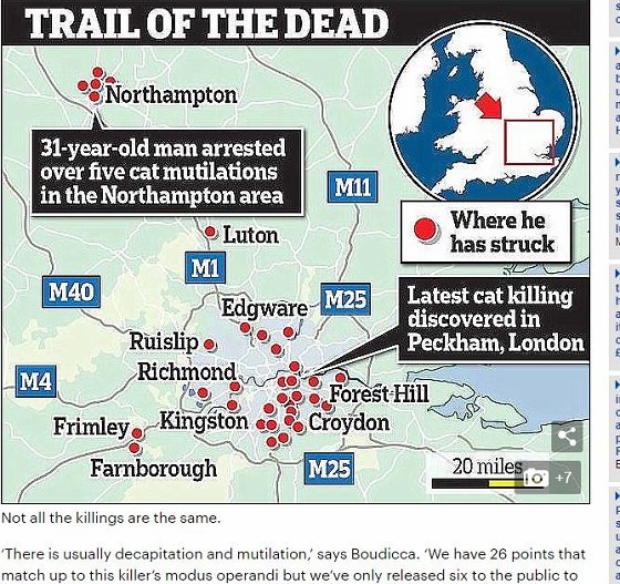 500匹以上の連続殺猫鬼が出現中！ 猫を切り刻んで殺害しまくる「M25シリアル・キャット・キラー」の謎！＝英の画像3