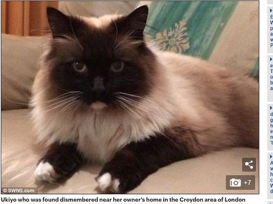 500匹以上の連続殺猫鬼が出現中！ 猫を切り刻んで殺害しまくる「M25シリアル・キャット・キラー」の謎！＝英の画像4