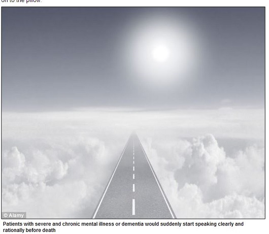 人は死を目前として何を見るのか？ ―　実地調査でわかった死ぬ直前の光景の画像2