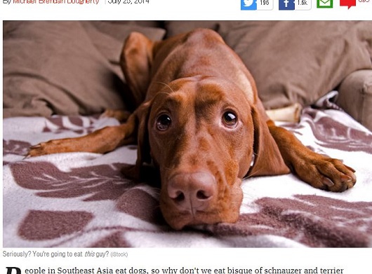 米で話題の「犬を食べることについての議論」が深く考えさせられる ― なぜ、犬はダメなのか？の画像1