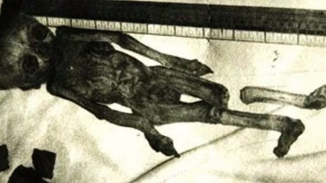 “ドロパストーン”の謎！1万2000年前に中国でUFOが墜落、エイリアンが取り残されていた！？の画像1