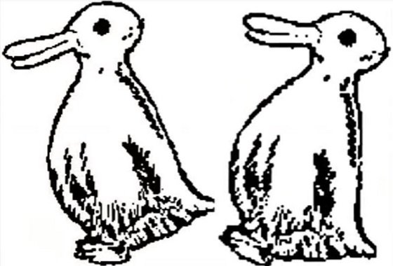 アヒルに見える？ ウサギに見える？ 「どれくらいフェイクニュースに騙されやすいか」わかる錯視テストに衝撃！の画像2