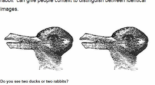 アヒルに見える？ ウサギに見える？ 「どれくらいフェイクニュースに騙されやすいか」わかる錯視テストに衝撃！の画像3