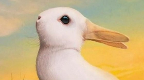 アヒルに見える？ ウサギに見える？ 「どれくらいフェイクニュースに騙されやすいか」わかる錯視テストに衝撃！の画像5