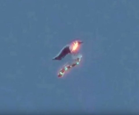 大空をのたうち回る未確認飛行生物「EBANI（イバーニ）」出現！ 地球外生命体か、リアル・火の鳥か… 欧米で目撃急増！の画像1