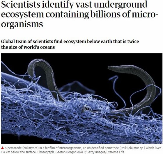 地球の生物のほとんどは未知の「地底世界」に住んでいると判明！ 最大230億トン、独自の生態系に科学者戦慄の画像3