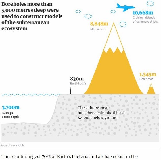 地球の生物のほとんどは未知の「地底世界」に住んでいると判明！ 最大230億トン、独自の生態系に科学者戦慄の画像4