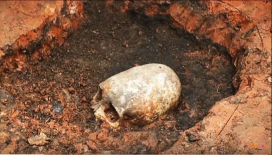 エイリアンの頭蓋骨か？部族の奇習か？  長くて尖った頭蓋骨がロシアの遺跡で発見される！の画像1