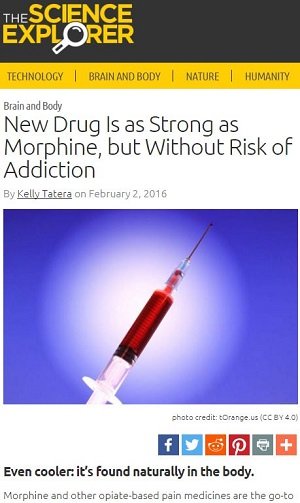 エンドモルフィン ― モルヒネと同じ効果で依存性・副作用がない夢の新麻薬の画像1