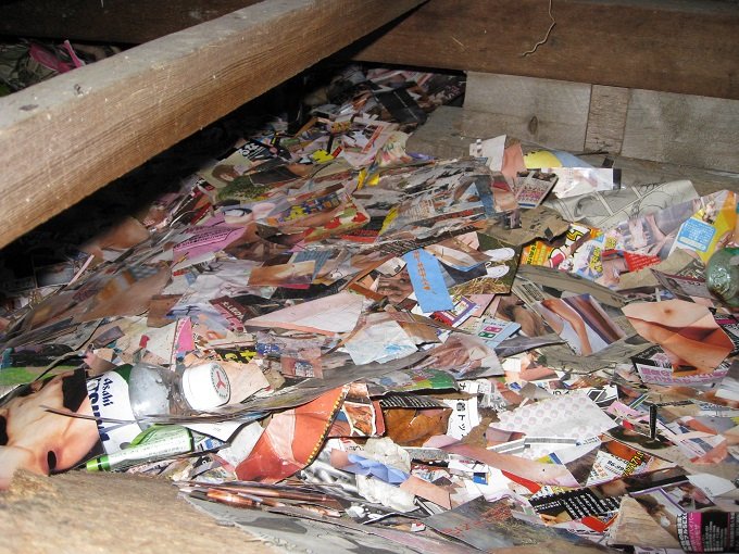 岐阜の異様すぎる廃墟「エロ本小屋」を徹底取材！ 切り刻まれた膨大なエロ本に秘められた恐怖エピソードとは？の画像9