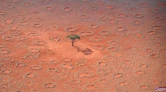オーストラリアの砂漠で妖精の輪が大量出現！ 新型ミステリーサークルか？の画像1