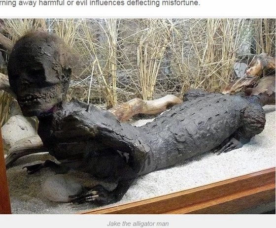 実在した半人半獣のワニ男「ジェイク」の生態！ うめき声で会話、たばこも吸い、足には水かき…現在はミイラに！の画像2