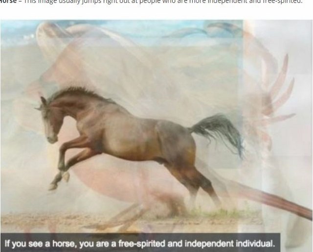 【心理テスト】最初に見えた動物でわかる「頭の柔軟性と真の性格」が面白い！ 複数見える人も…最新心理学が深い!!の画像3