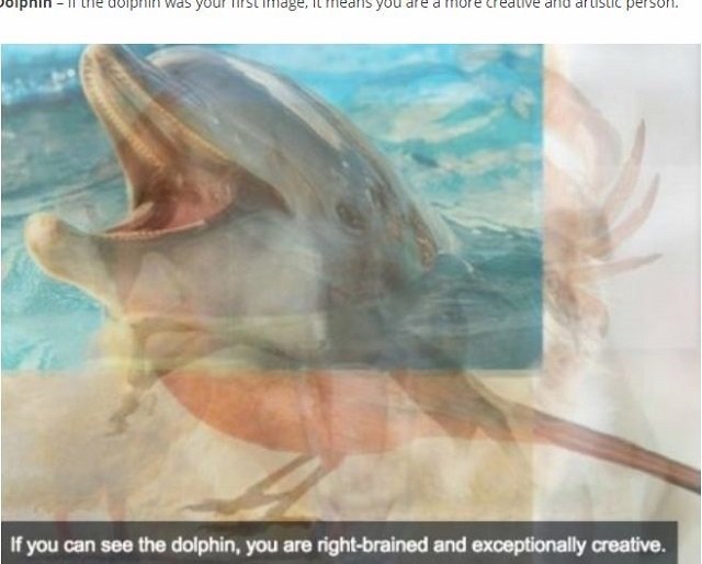 【心理テスト】最初に見えた動物でわかる「頭の柔軟性と真の性格」が面白い！ 複数見える人も…最新心理学が深い!!の画像4