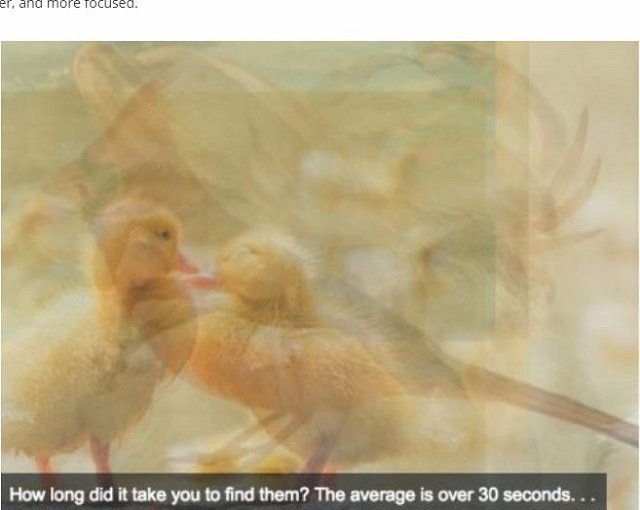 【心理テスト】最初に見えた動物でわかる「頭の柔軟性と真の性格」が面白い！ 複数見える人も…最新心理学が深い!!の画像5