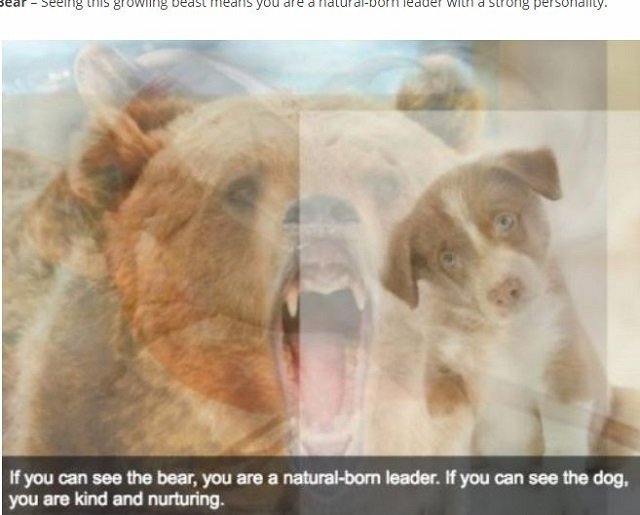 【心理テスト】最初に見えた動物でわかる「頭の柔軟性と真の性格」が面白い！ 複数見える人も…最新心理学が深い!!の画像6