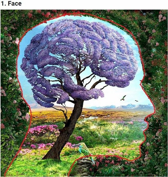 直感で最初に見えた絵でわかる「潜在的な性格診断」が的中率抜群！ 納得の解説であなたの本質が暴かれる！の画像2