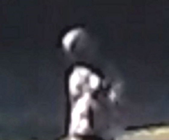 【衝撃画像】公園でグレイ型エイリアンを激写？走りながら吐血する姿も目撃される!!の画像2