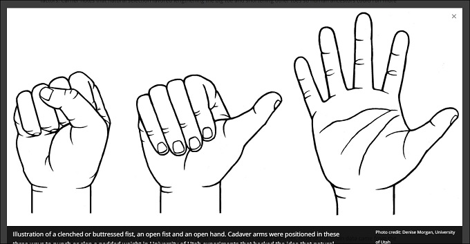 【衝撃の事実】人間の手は他人を殴るために進化した!!の画像4