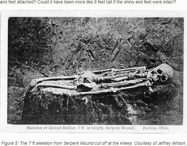 巨人文明は本当に存在！ 骸骨発見、NYタイムズや大統領も公言… 今も冷凍睡眠で保管中か！の画像5